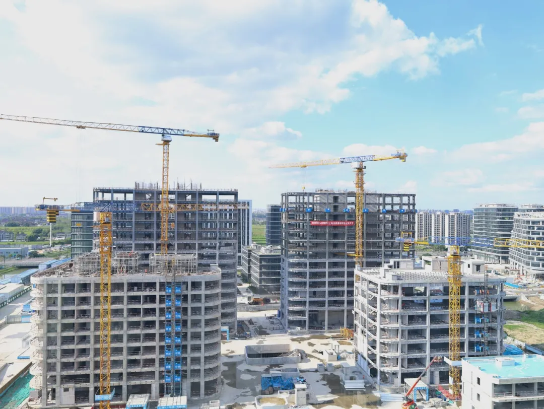 同心同向 造炬成阳 | 云顶集团4008股份2024年第三季度动态速览